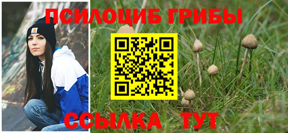 Псилоцибиновые грибы Psilocybe Когалым